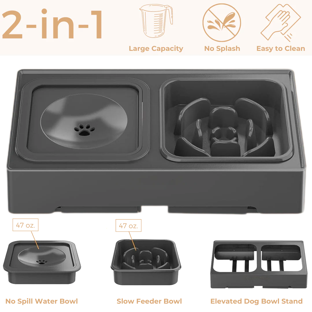 Elevated Slow-Feeder Bowl – Reduces Anxiety & Improves Digestion